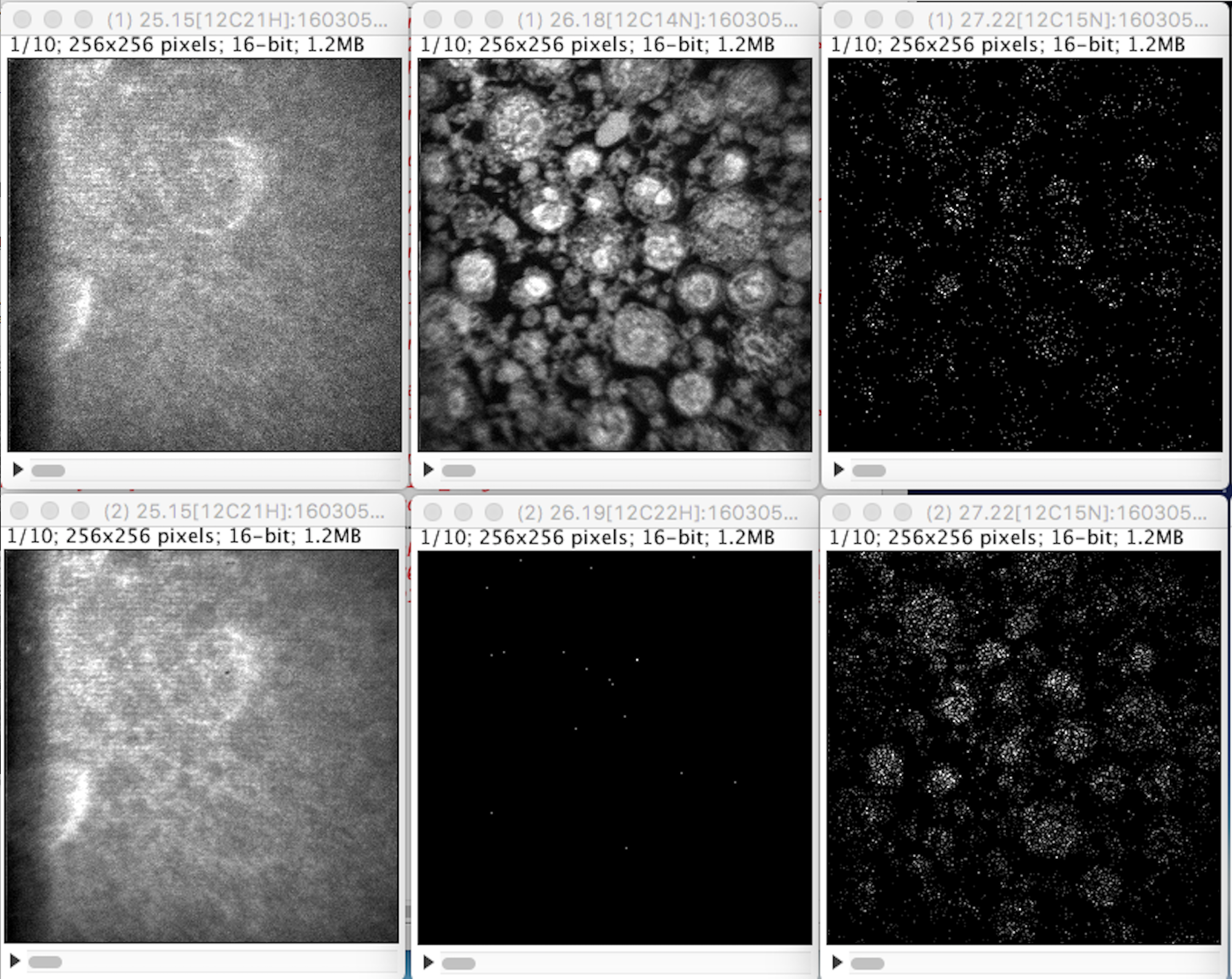 Images from 2 series with peak switching of mass 26.18 to mass 26.19  (masses 31.28 and 32.12 not shown)