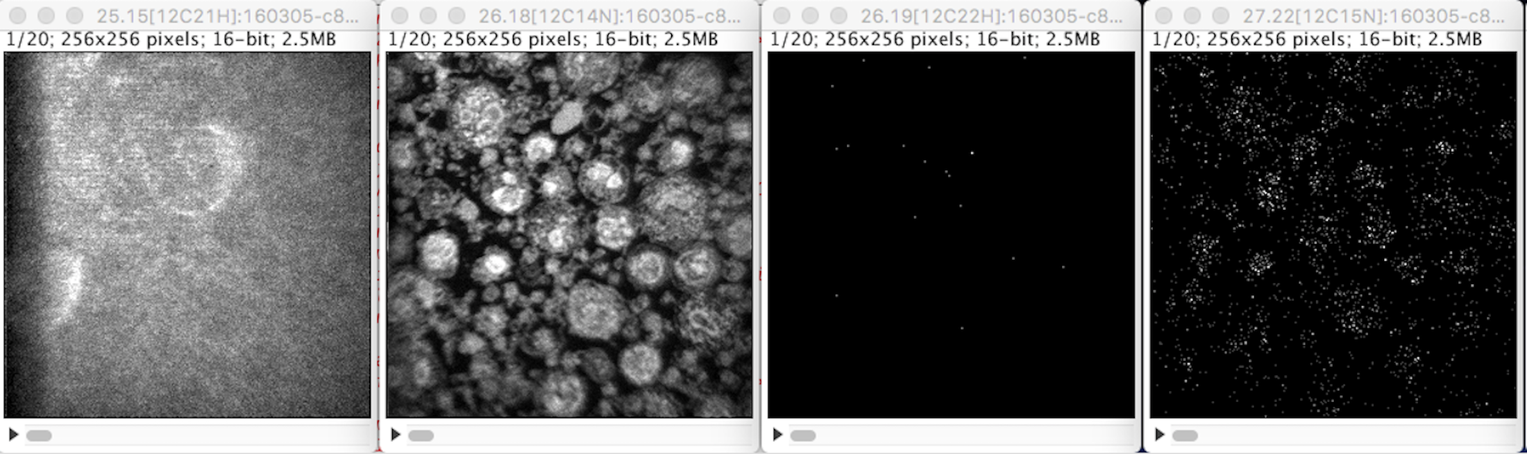 Images after interleaving 