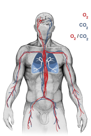 o2co2