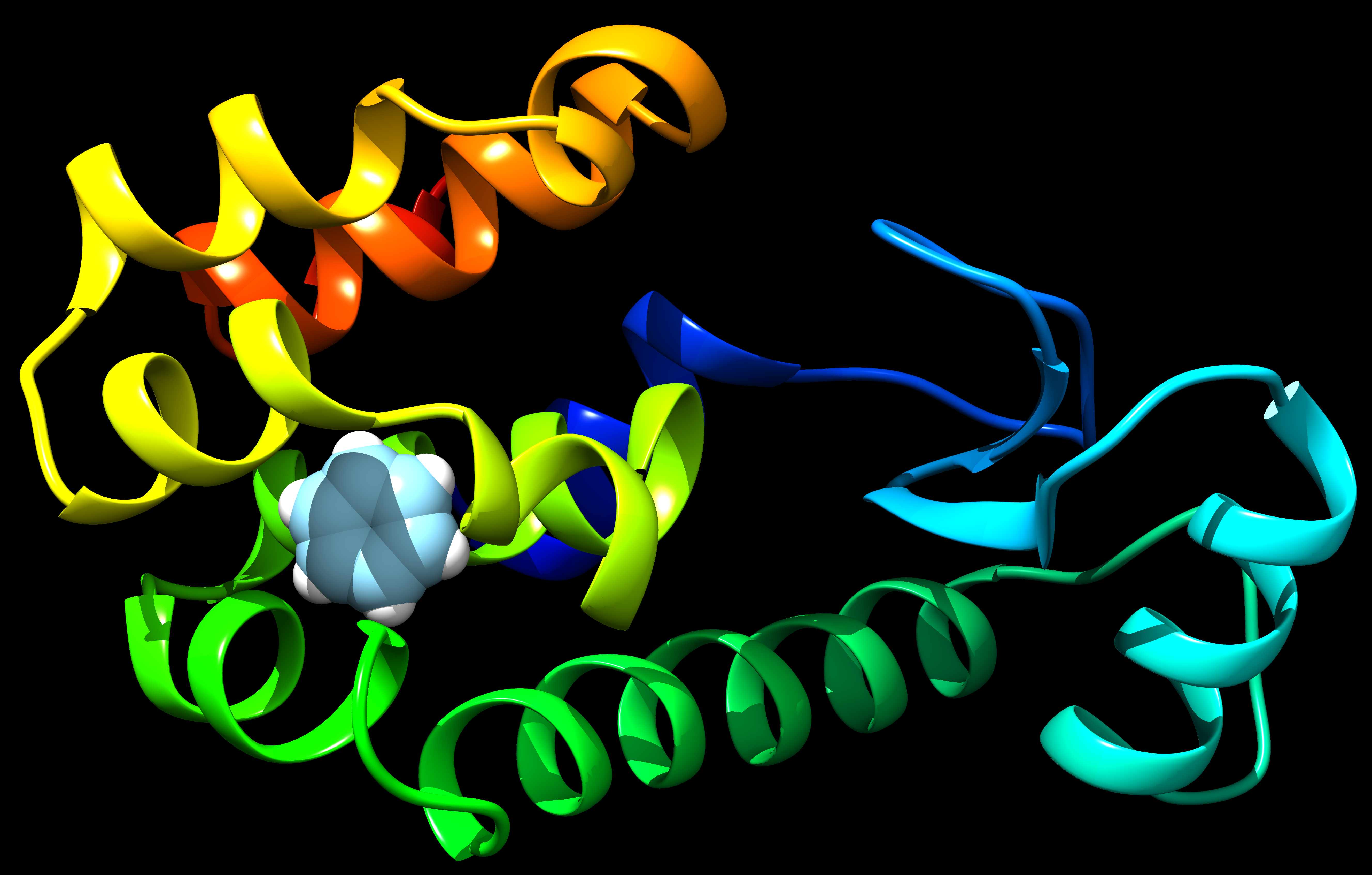 T4 Lysozyme L99A with Benzene