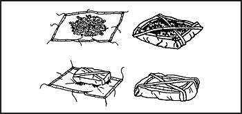 Figure 17-4. Brush Raft