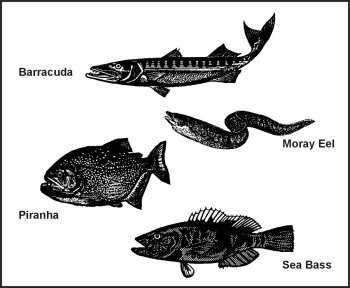 Figure F-2. Ferocious Fish