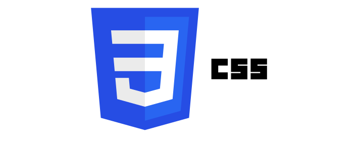 CSS Logo